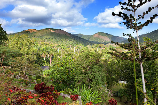 park of Soroa (Jardin Botanico Orquideario Soroa), Cuba stock photo