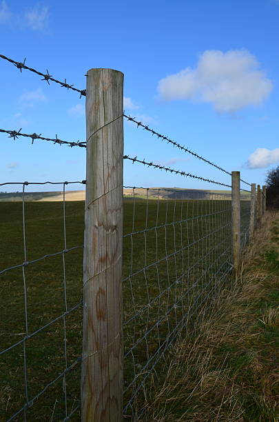 istock Rural farm fence. 477616565