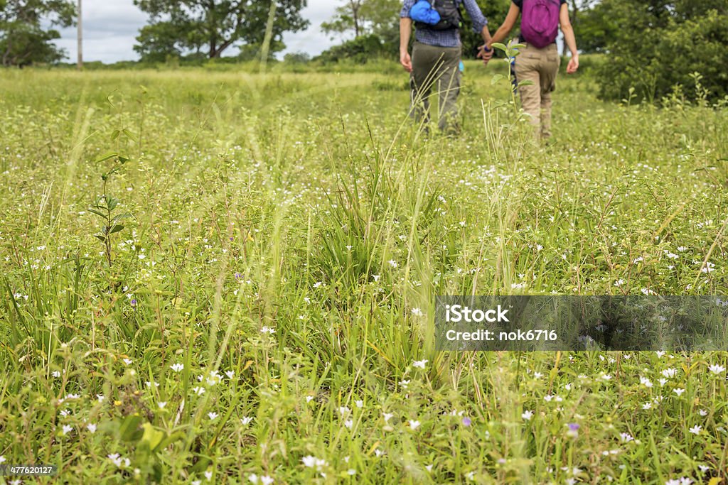 couple holding hands in a flower field Active Lifestyle Stock Photo