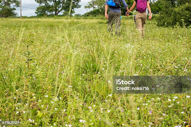 Couple Holding Hands In A Flower Field Stock Photo - Download Image Now - Active Lifestyle, Activity, Adult