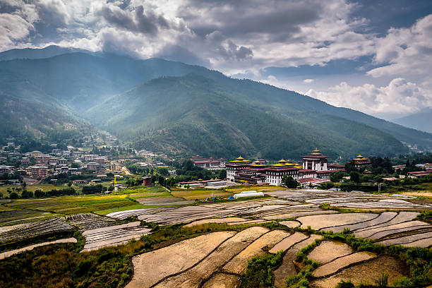 arrozal - bhutan - fotografias e filmes do acervo