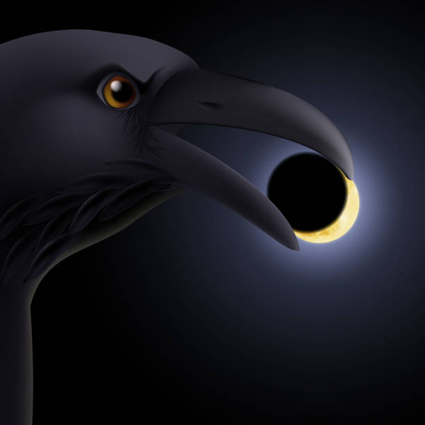 illustrazioni stock, clip art, cartoni animati e icone di tendenza di nero corvino - bird flying inside of crow