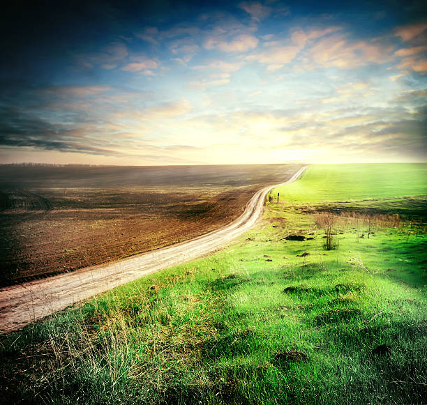 istock Plowed and sown field with crosses his way 477631434