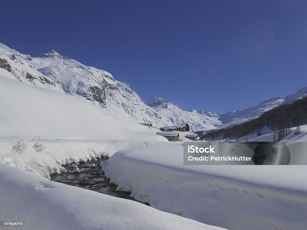 Valle Engadina Fex in - Foto stock royalty-free di Alpi svizzere