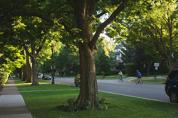 Suburban Street at Sunset Suburban Street at Sunset with Tree and Cyclists super bike stock pictures, royalty-free photos & images