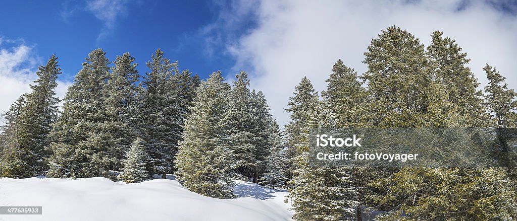 Идиллический winter wonderland в матовой РПИ лес снежные горы панорама - Стоковые фото Снег роялти-фри