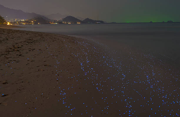 istock stars under my feet 477636271