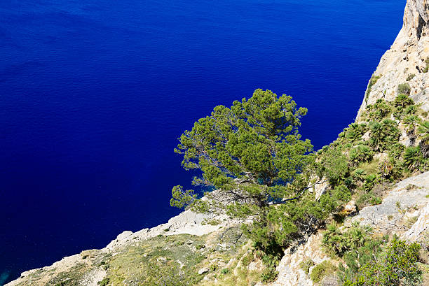 The Cape Formentor in Mallorca island, Spain