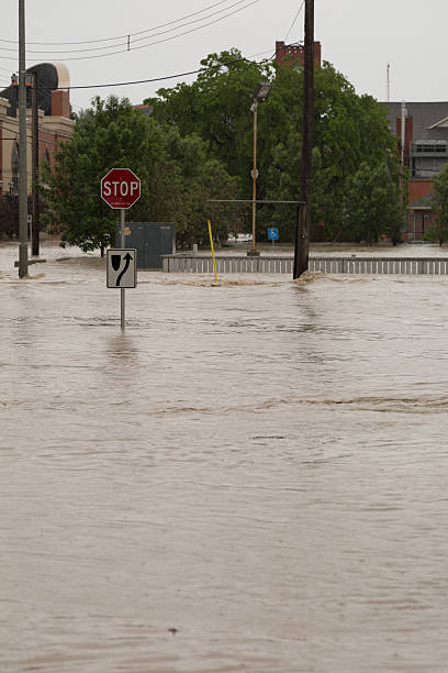 ilumina la señal de pare (stop) - calgary street flood alberta fotografías e imágenes de stock