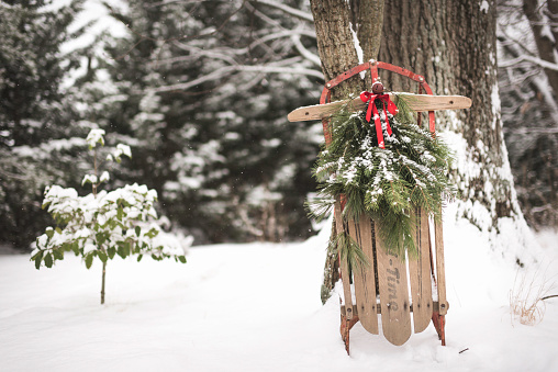 An antique wooden and steel sled with pine and red ribbon decoration leaning against a tree in the snow.