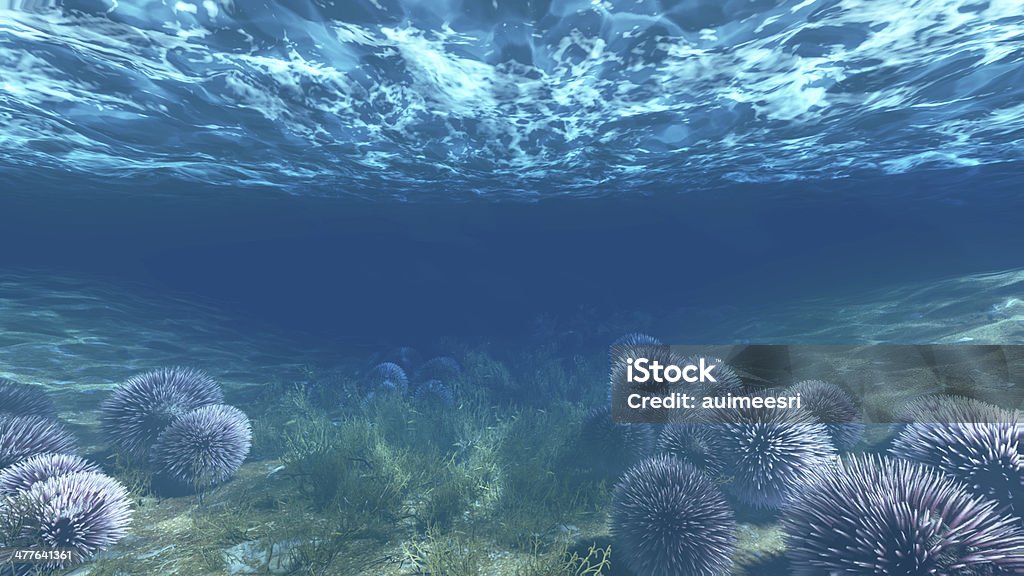 anemones submarino - Foto de stock de Agua libre de derechos