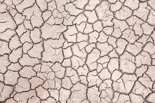 istock Closeup of dry soil texture 477641791