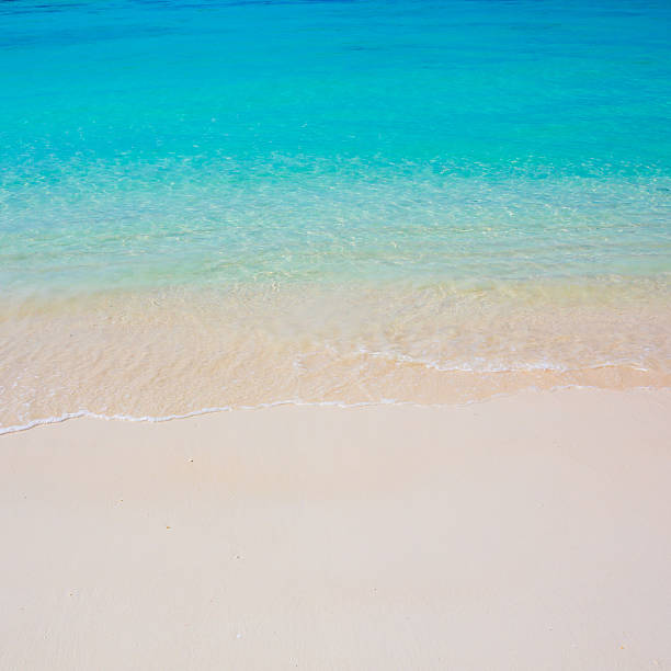 istock beach and tropical sea 477641939