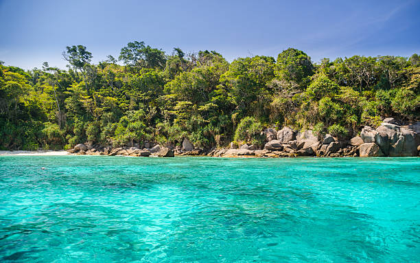 istock Island on the sea 477642751