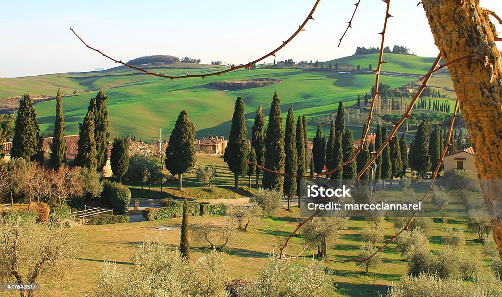 Paesaggio toscano - Foto stock royalty-free di Collina