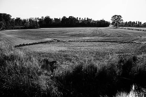 istock Italian countryside landscape 477643547