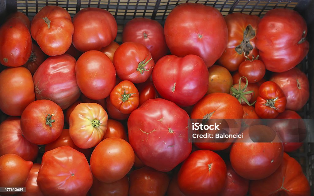 pomidor - Zbiór zdjęć royalty-free (Bez ludzi)