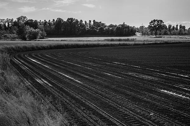 istock Italian countryside landscape 477644407