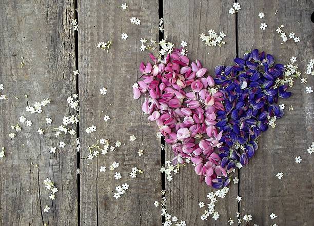 istock Heart from flowers lupine 477648716