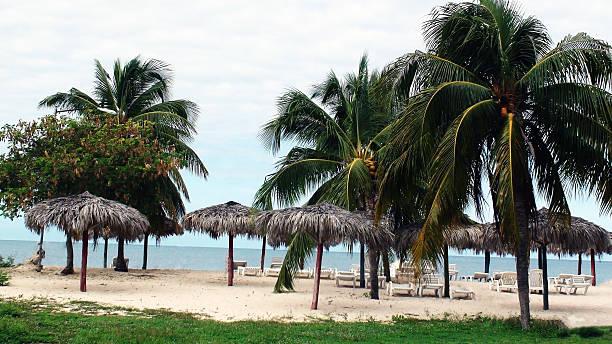 istock Playa Ancon Beach In Cuba 477651672