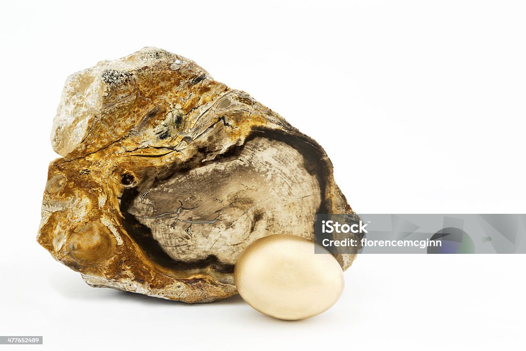 Goldene Ei und "petrified wood - Lizenzfrei Ersparnisse Stock-Foto
