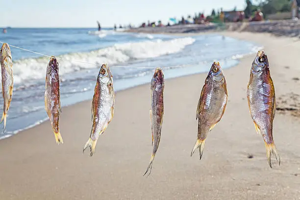 Photo of Caught fish drying on rope