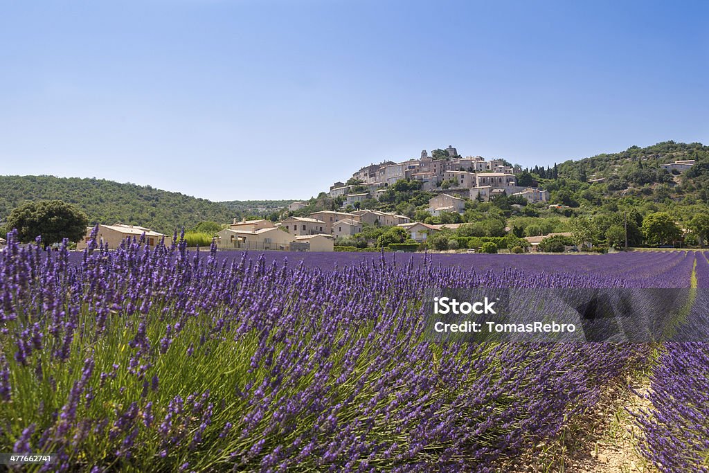 Provence countryside Village over lavender field Agriculture Stock Photo