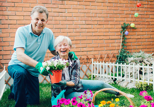 istock Senior Couple Gardening Together. 477663328