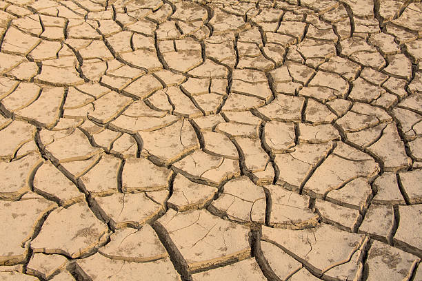 istock Dry land. Cracked ground background 477663341