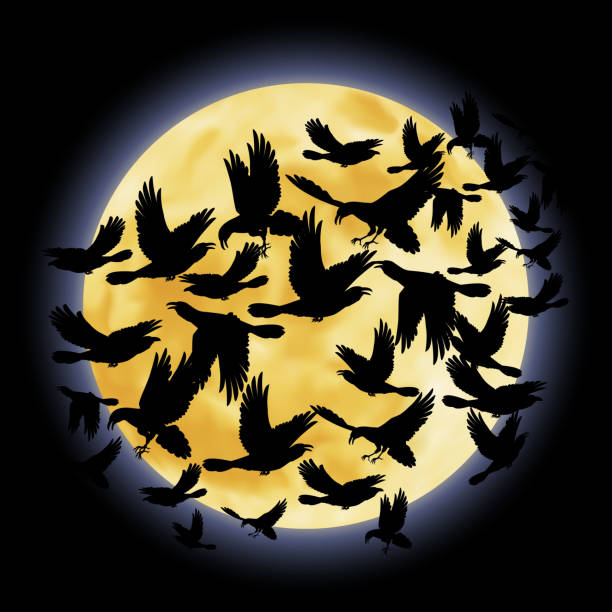 черный ворон - bird flying inside of crow stock illustrations