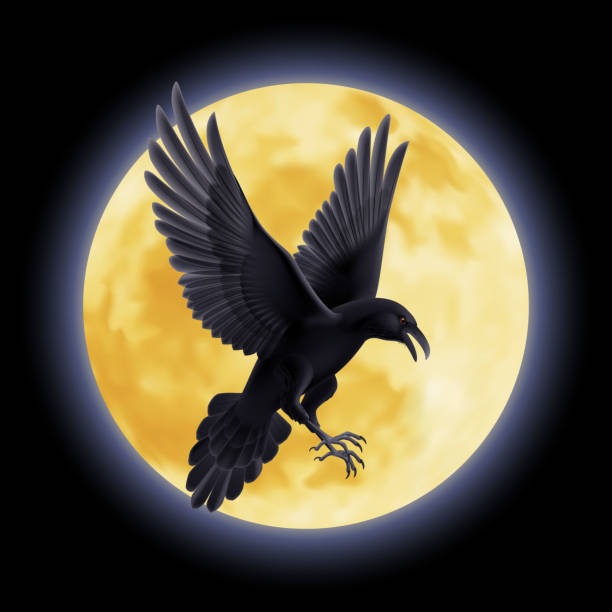 illustrazioni stock, clip art, cartoni animati e icone di tendenza di nero corvino - bird flying inside of crow