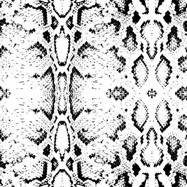 illustrations, cliparts, dessins animés et icônes de texture de peau de serpent. motif sans couture noir sur fond blanc. illustration - cobra snake desert animal