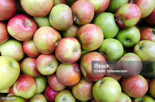 Manzanas En Harvest Foto de stock y más banco de imágenes de Agricultura - Agricultura, Alimento, Amarillo - Color