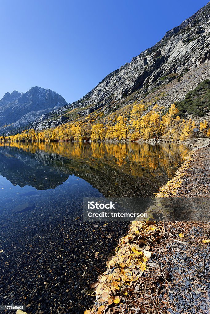 Reflet de la montagne couleurs de l'automne - Photo de Arbre libre de droits