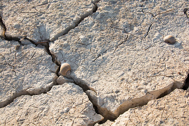istock Dry land. Cracked ground background. 477668804