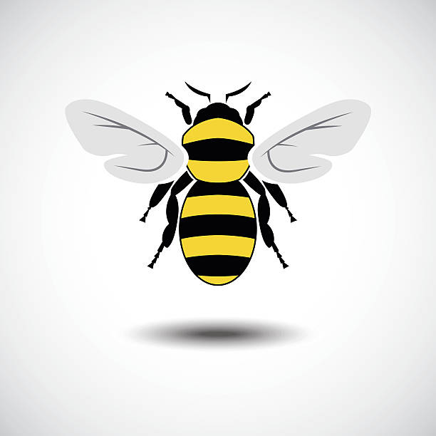 The Bee. Vector Illustration : The Bee. bee water stock illustrations