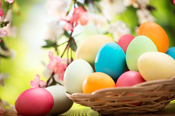 istock Colorful easter eggs and spring flowers on green nature background 477671555