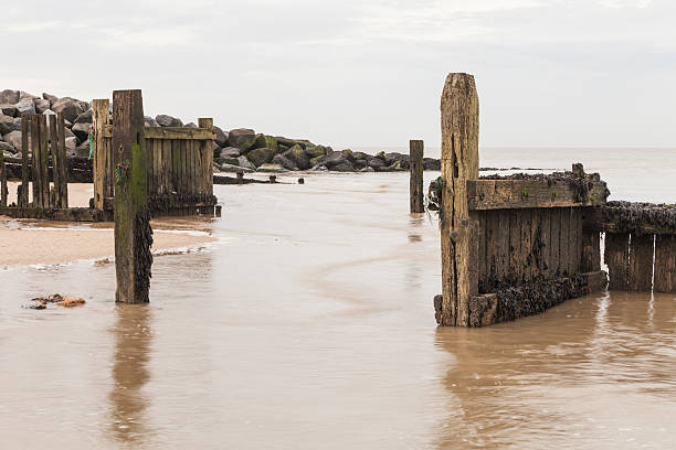 istock Groynes of Minnis Bay, Kent 477672309