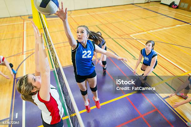 Photo libre de droit de Volleyball Universitaire banque d'images et plus d'images libres de droit de Volley-ball - Volley-ball, Ballon de volley, Jeunes filles