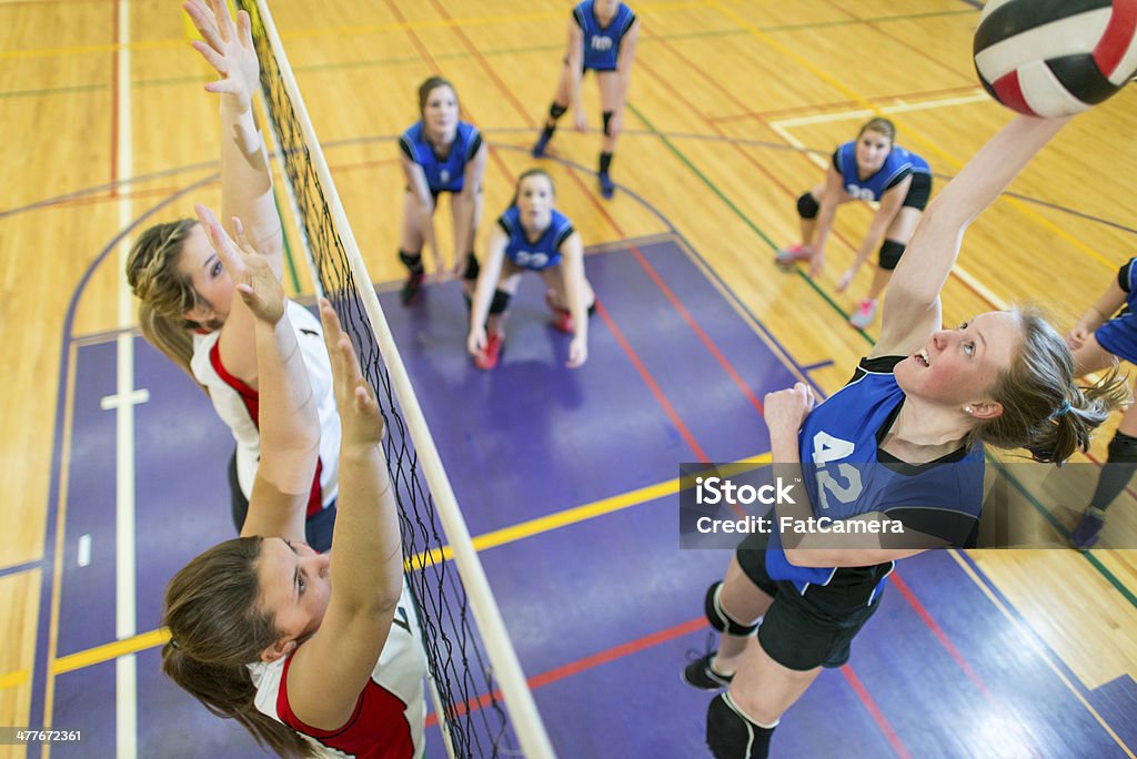 Varsity Volleyball - Zbiór zdjęć royalty-free (Zawodnik sportowy)