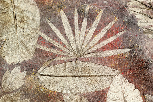 istock marks of leaf on the concrete pavement. 477672532