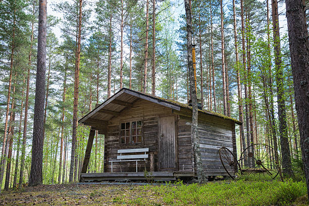 Old wooden cabin in the woods stock photo