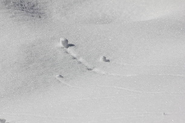 istock Mini Avalanche, Close-up, Snow and Ice Crystals 477675371