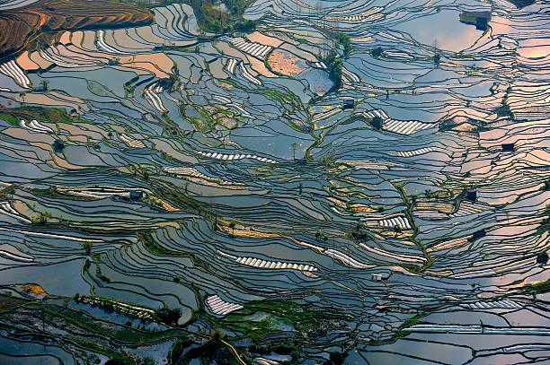 pôr do sol em campos com terraço 003 - agriculture artificial yunnan province china imagens e fotografias de stock