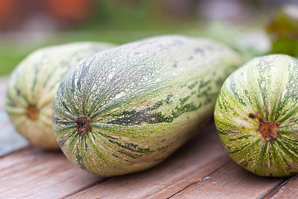 istock summer crop of zucchini 477678483