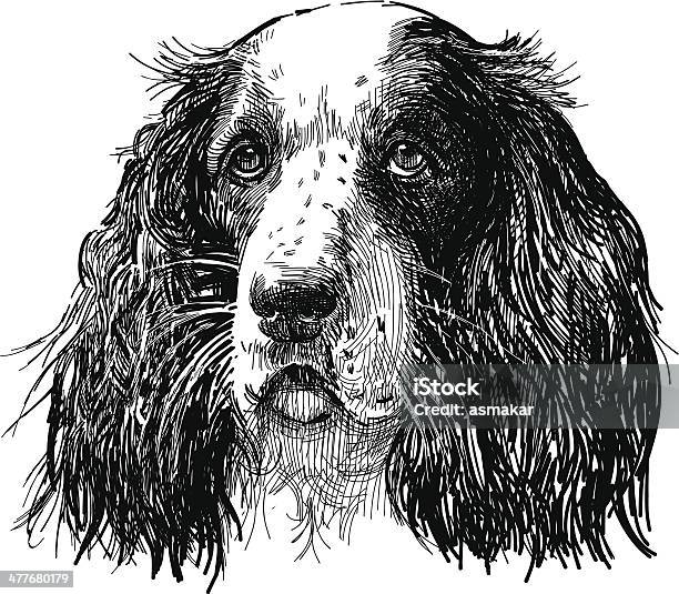 Spaniel Retrato - Arte vetorial de stock e mais imagens de Cão - Cão, Preto e Branco, Retrato