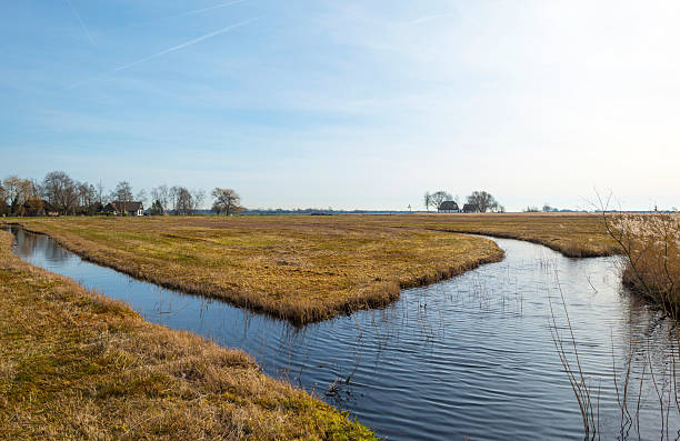istock Houses along a river through wetland in winter 477680237