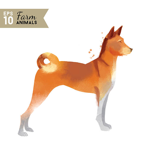 istock Farm animals. Watercolor vector illustration of dog 477681918
