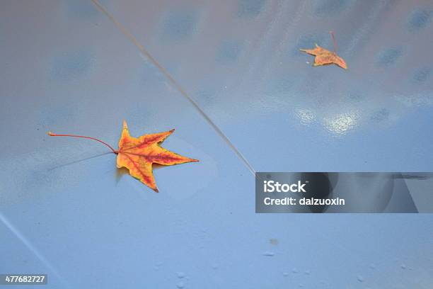 Regen Herbst Blätter Auf Auto Stockfoto und mehr Bilder von Abstrakt - Abstrakt, Ahornblatt, Auto