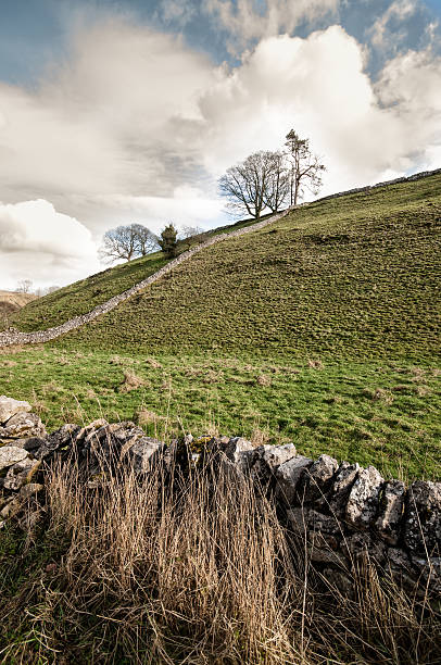 istock Solitary tree in Dovedale, Peak District National Park, UK 477683207